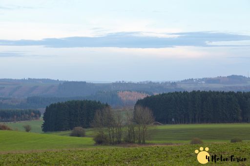 fall-in-eifel-AEPWCTP-min Eifel Ferienhaus mit Hund Alleinlage