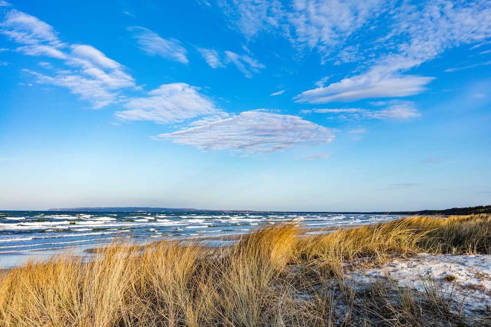 baltic-sea-with-golden-dune-grass-ZDQ5XM6-min