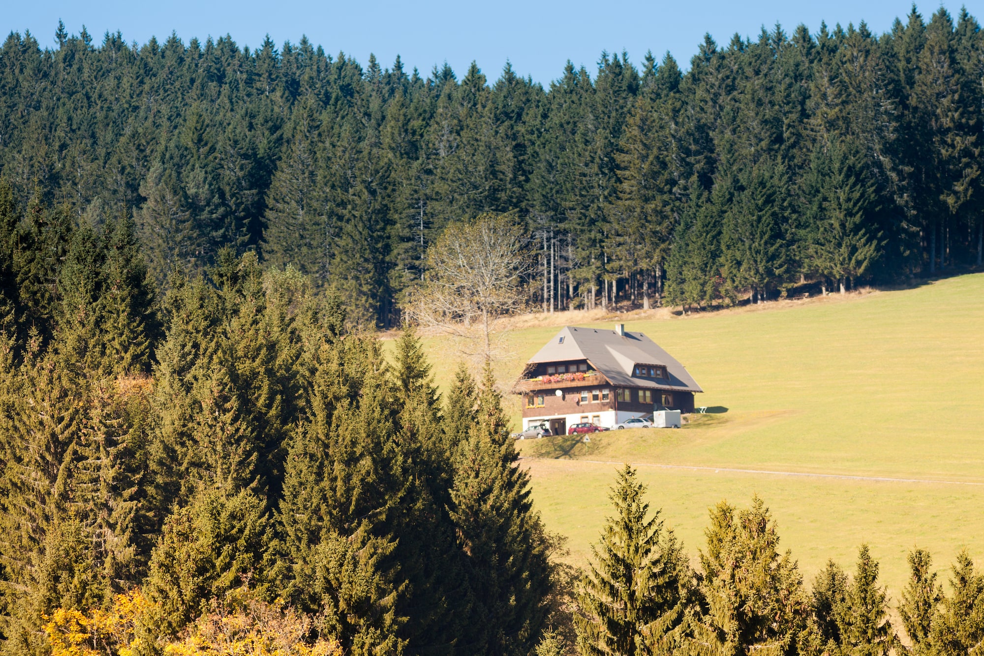 black-forest-farmland-landscape-germany-europe-FWVKHGR-min