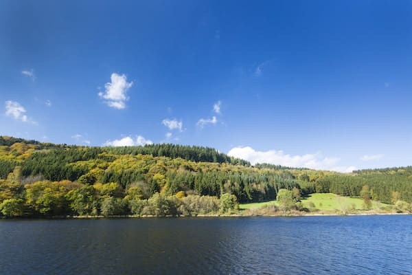 lake-rursee-in-autumn-germany-eifel-QQGY5SK-min