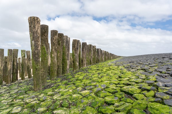 landscape-with-traditional-wooden-pillars-at-the-d-LNFY7EU-min