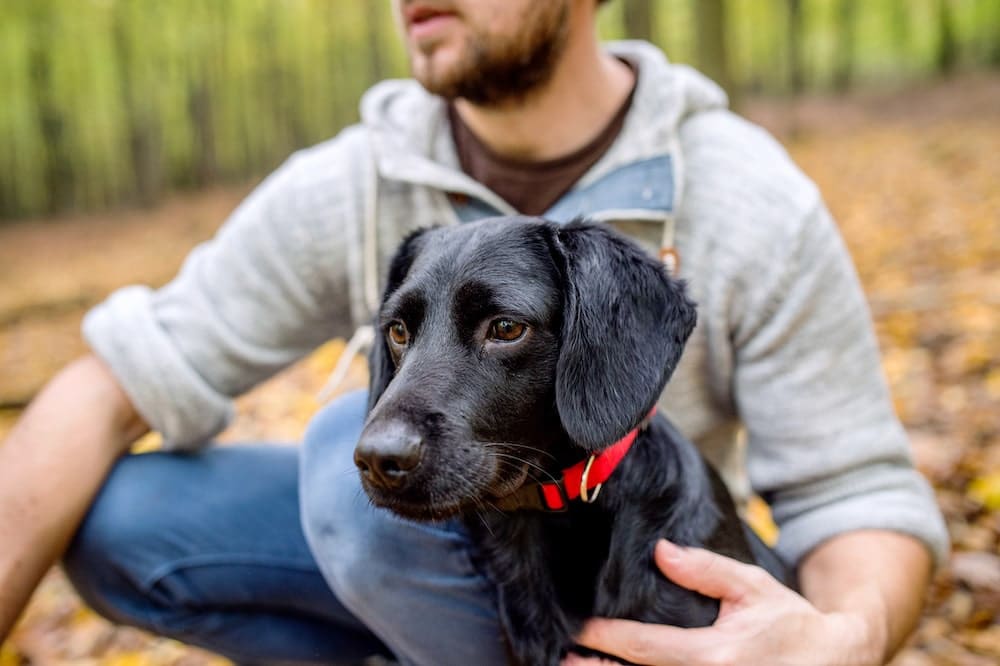 man-on-a-walk-with-black-dog-in-forest-P4WG4DQ-min