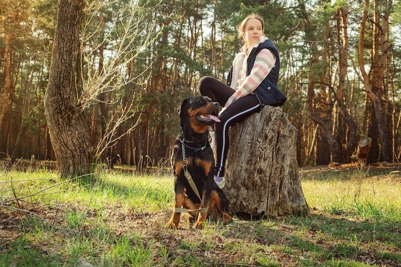 walking-with-a-dog-in-a-coniferous-forest-37E4T9R-min