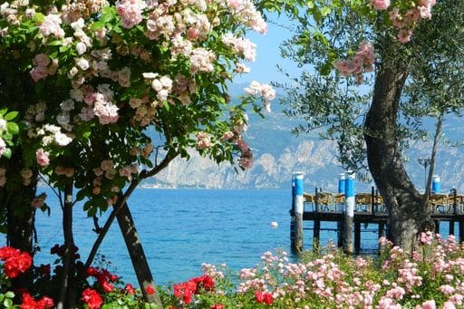 Gardasee (4)