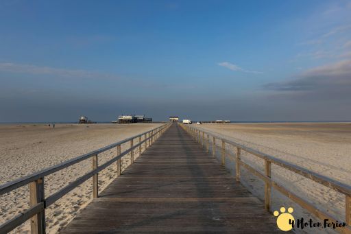 Design ohne Titel (1) Ferienhaus Sankt Peter Ording Urlaub mit Hund Eingezäunt